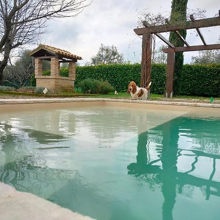 Ca' Le Cerque, Villa Surrounded By The Marche Nature Fossombrone Eksteriør bilde
