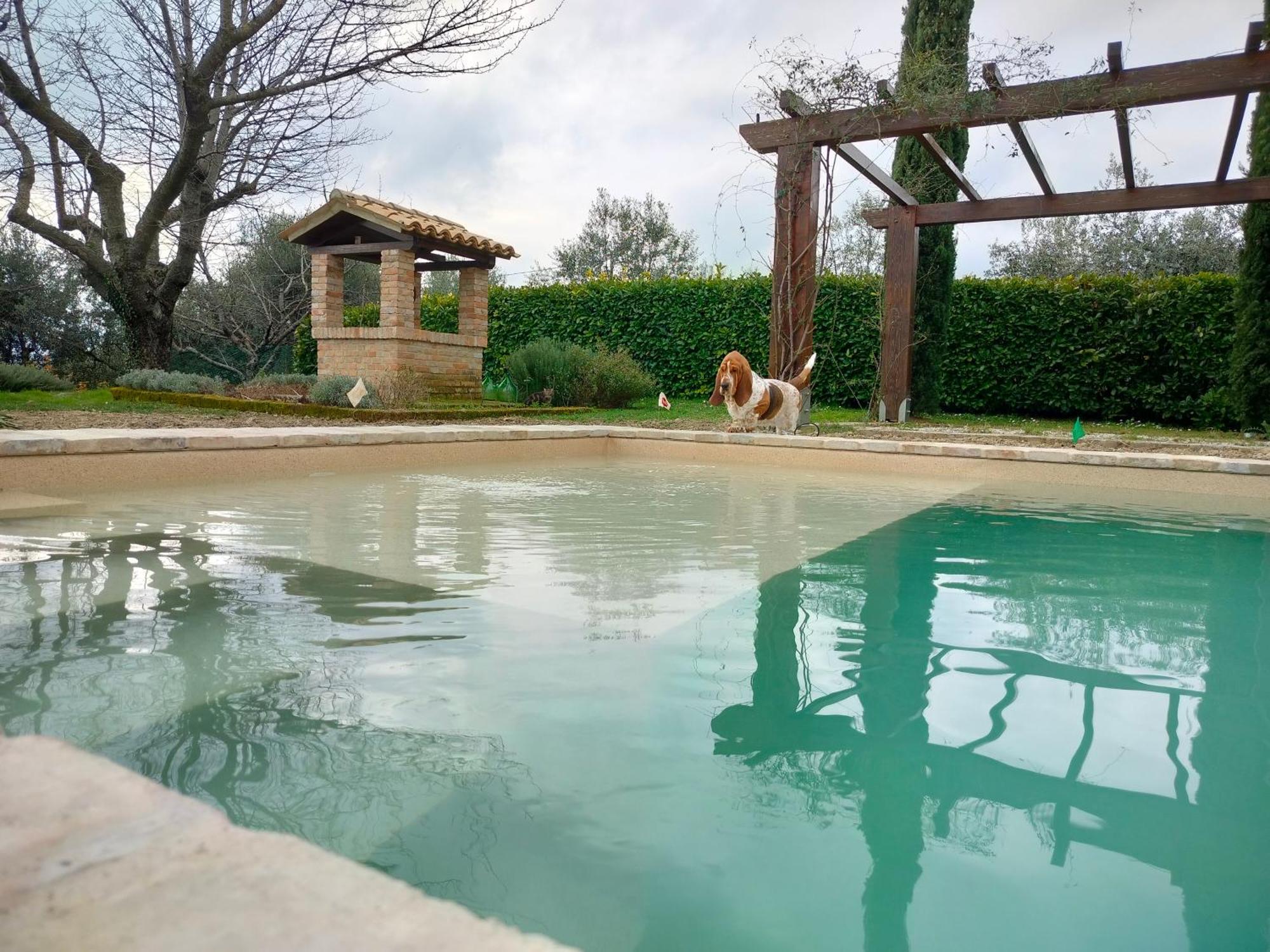 Ca' Le Cerque, Villa Surrounded By The Marche Nature Fossombrone Eksteriør bilde
